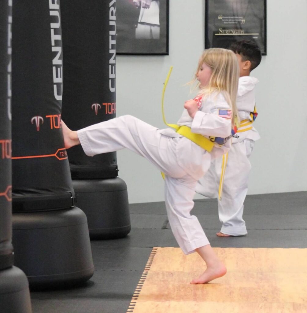 Preschool Taekwondo at Blackhawk TaeKwonDo in Carpentersville