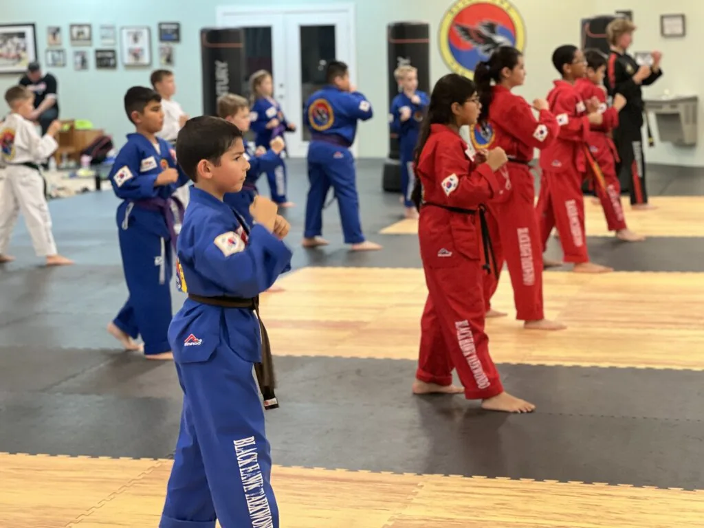 Kids and teen Taekwondo classes in Carpentersville at Blackhawk TaeKwonDo