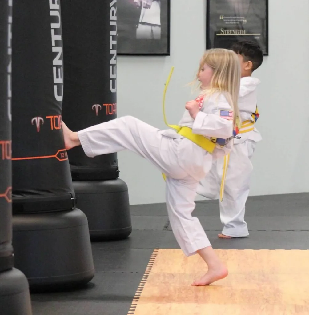 Preschool Taekwondo at Blackhawk TaeKwonDo in Carpentersville