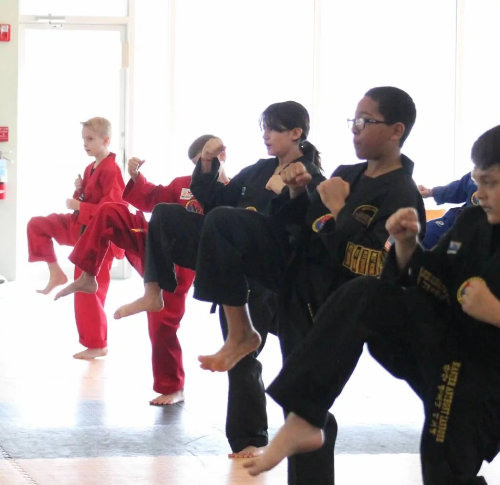 Blackhawk TaeKwonDo student training in Carpentersville
